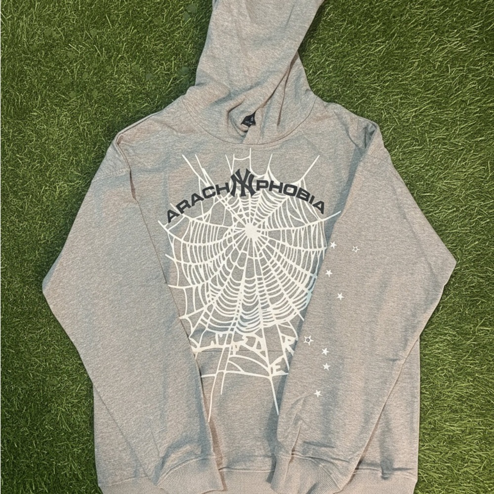 Arachnophobia Gray Hoodie for Men